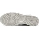 DK Low Retro -“Photon Dust Wear-Resistant Anti-Slip Skater Shoes DD1391 103