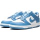 DK Low Retro-“Polar Blue” Wear-Resistant Anti-Slip Skater Shoes DD1391 102